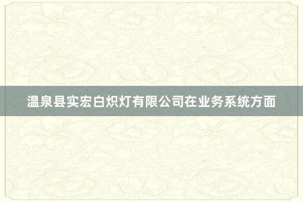 温泉县实宏白炽灯有限公司在业务系统方面